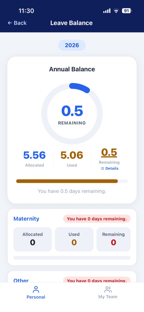 Index HR leave balance screen with allocated, used and remaining days